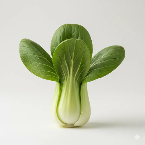 Semillas De Pak Choi Verde Hortalizas Fercon - Image 5