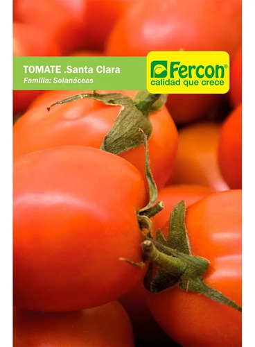 Semillas De Tomate Santa Clara Hortalizas Fercon - Image 2