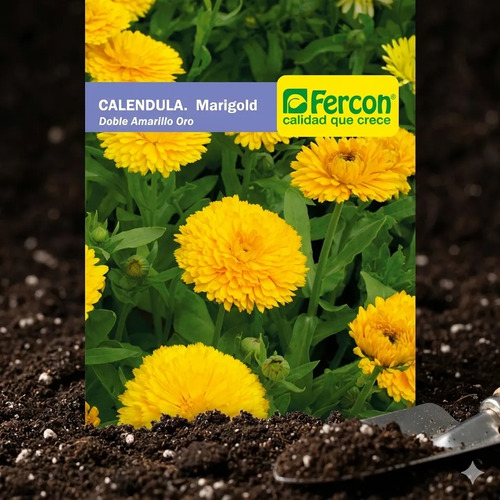 Semillas Aromáticas Calendula Marigold Amarillo Oro - Image 4