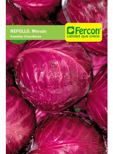 Semillas Hortalizas Repollo Red Acre Morado Fercon - Image 2