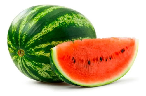 Semillas Frutales De Sandia Fercon - Image 3