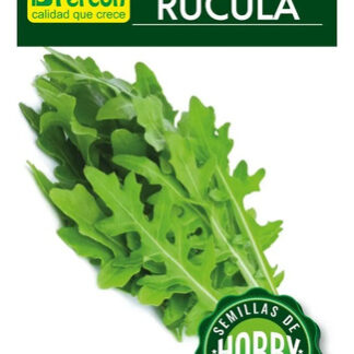 Semillas De De Rúcula