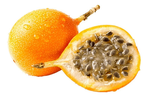 Semillas Frutales De Granadilla Fercon