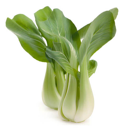 Semillas De Pak Choi Verde Hortalizas Fercon
