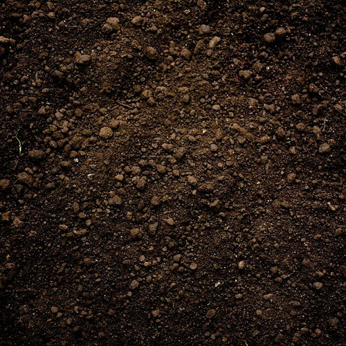 Humus De Lombriz Solido Bendita Sea 1kg Cultivo - Image 3