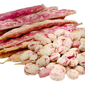 Semillas De De Frijol Lingua Di Fouco