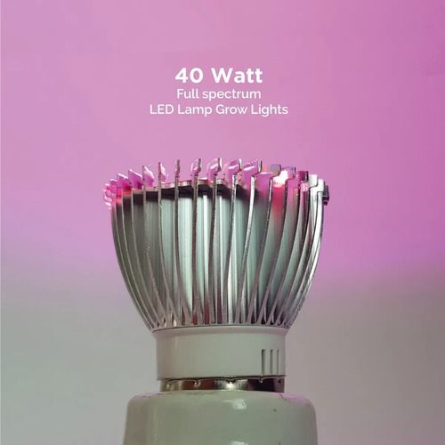 Bombillo Led Full Espectro 40w Cultivo Crecimiento Plantas Rosa Claro - Image 3