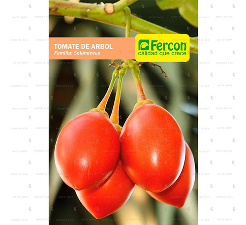 Semillas De Tomate De Arbol Amarillo Frutales Fercon - Image 2