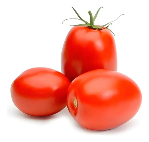Semillas De Tomate Santa Clara Hortalizas Fercon
