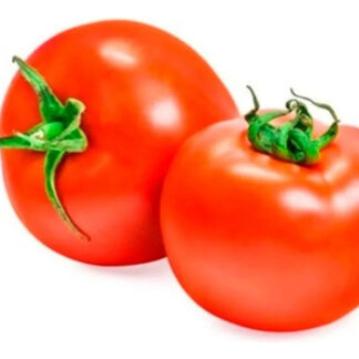 Semillas Hortalizas Tomate Manalucie Fercon