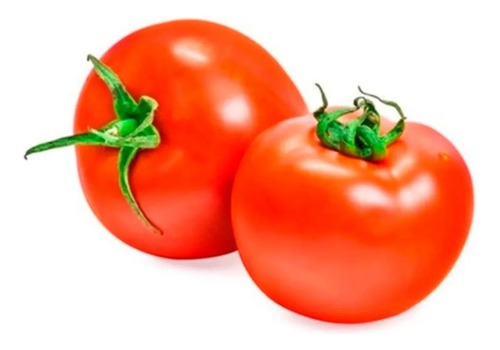 Semillas Hortalizas Tomate Manalucie Fercon