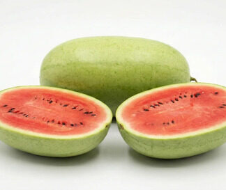 Semillas De De Sandia Charleston Gray