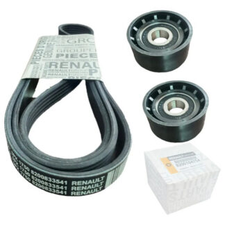 Correa De Accesorios + 2 Patines Para Renault Clio Megane Sy