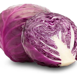 Semillas Hortalizas Repollo Red Acre Morado Fercon