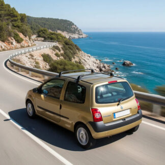 Barras De Techo Portaequipaje Twingo