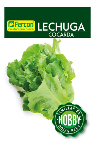 Semillas De Lechuga Cocarda Hortalizas Fercon - Image 2