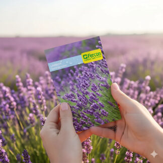 Semillas Aromaticas Lavanda Fercon