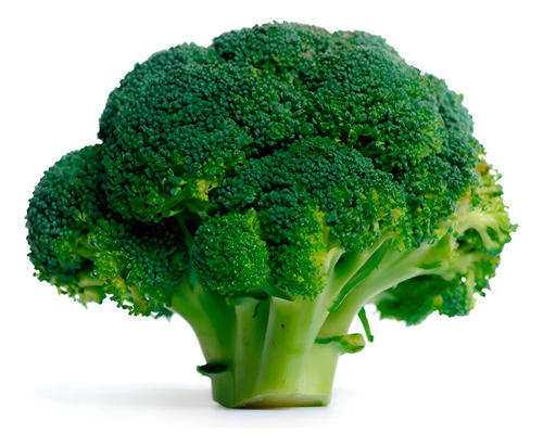 Semillas De Brocoli Calabrese Hortalizas Fercon