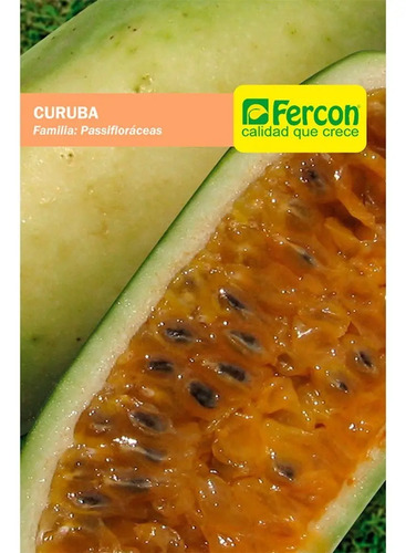 Semillas De Curuba Passifloraceas Frutales Fercon - Image 2