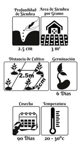 Semillas Frutales De Sandia Fercon - Image 2