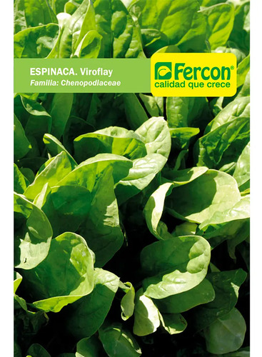 Semillas De Espinaca Viroflay Hortalizas Fercon - Image 2
