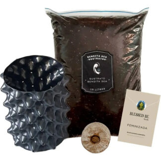 Kit De Jardinería Siembra Cultivo Básico #1 Bendita Sea