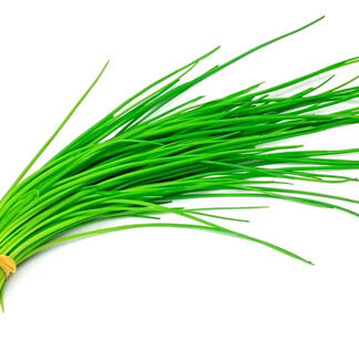 Semillas De De Cebollino Allium Shoenophrasum