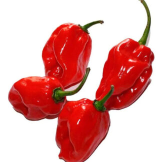 Semillas Hortalizas Ají Habanero Rojo Fercon