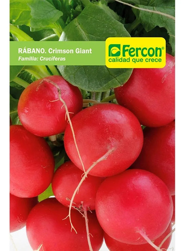 Semillas Hortalizas Rábano Crimson Giant Fercon - Image 2
