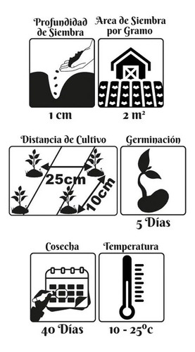 Semillas Hortalizas Rábano Blanc Fercon - Image 3