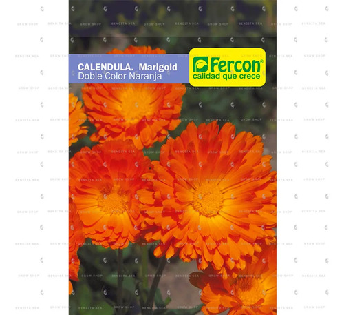 Semillas De Caléndula Naranja Marigold Hortalizas Fercon - Image 2