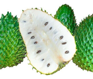 Semillas Frutales De Guanábana Fercon