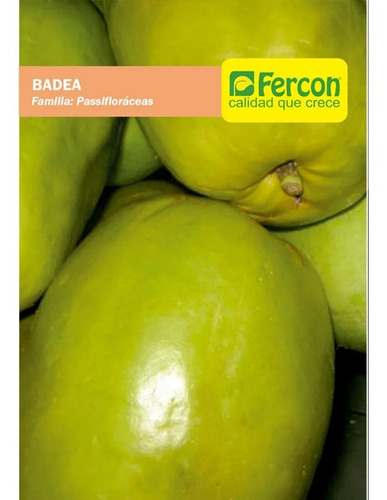 Semillas Frutales De Badea Fercon Para Un Cultivo Exótico - Image 2