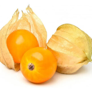 Semillas Frutales De Uchuva Fercon