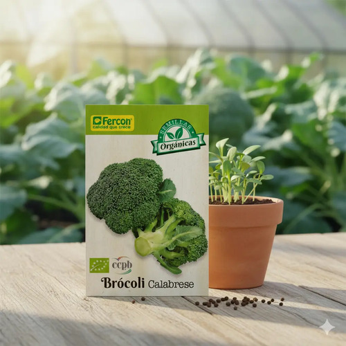 Semillas De Brocoli Calabrese Hortalizas Fercon - Image 4