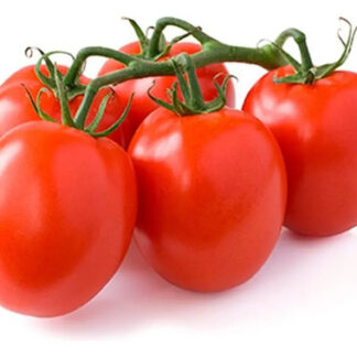 Semillas De De Tomate Chonto Santa Cruz