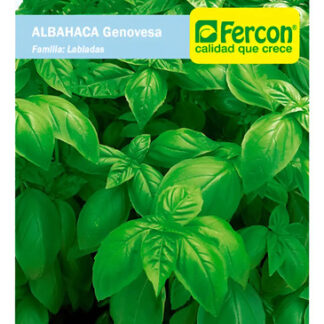 Semillas Aromáticas Albahaca Genovesa Pack X600