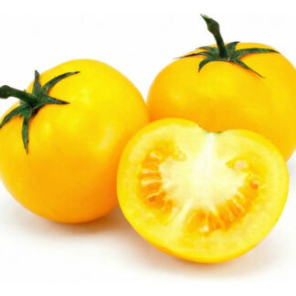 Semillas De De Tomate Cherry Amarillo