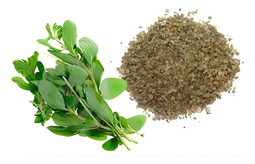 Semillas De Mejorana Oreganun Aromáticas Fercon