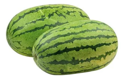 Semillas De Anón Anonaceas Frutales Fercon - Image 3