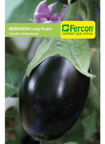 Semillas De Berenjena Long Purple Hortalizas Fercon - Image 2