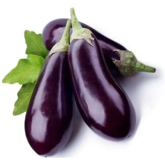 Semillas De De Berenjena Long Purple