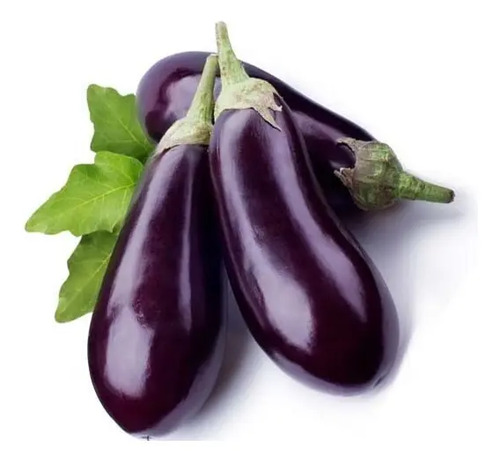 Semillas De Berenjena Long Purple Hortalizas Fercon