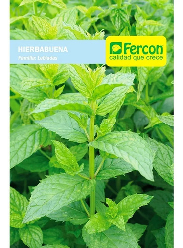 Semillas De Hierbabuena Aromáticas Fercon - Image 2