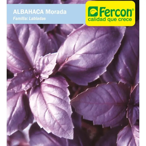 Semillas De Albahaca Morada Aromáticas Fercon - Image 2