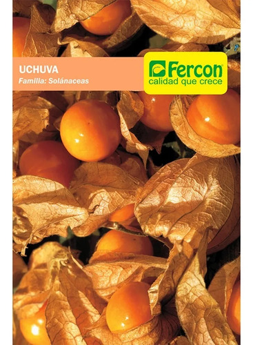 Semillas Frutales De Uchuva Fercon - Image 2