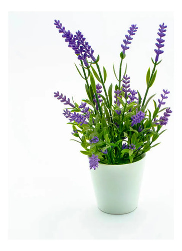 Semillas Aromaticas Lavanda Fercon - Image 2