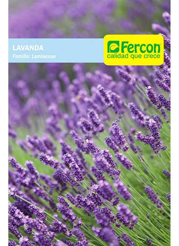 Semillas Aromaticas Lavanda Fercon - Image 3