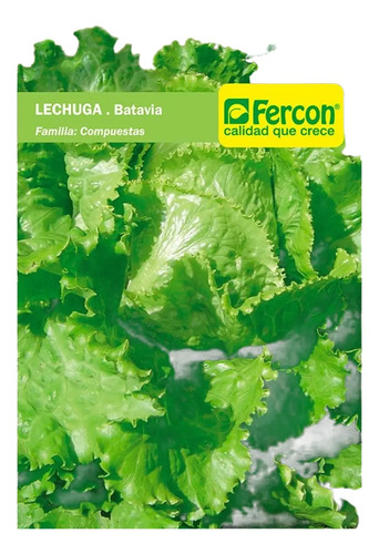 Semillas De De Lechuga Batavia Roja - Image 2