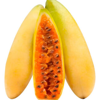 Semillas De De Curuba Passifloraceas